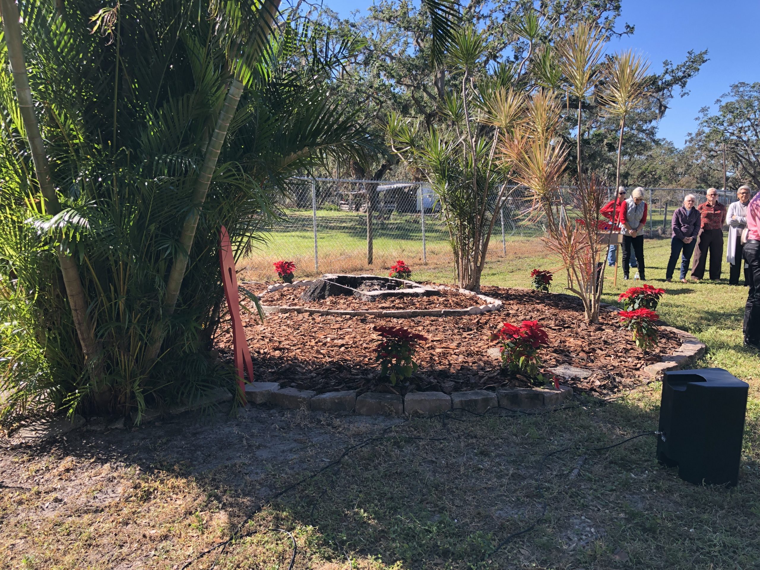 Historic view of the original AIDS memorial tree at Church of the Trinity MCC.
