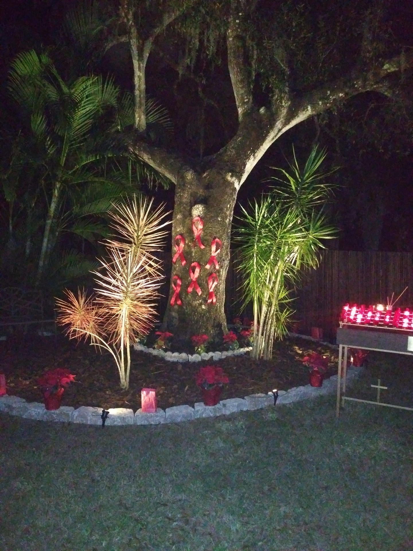 AIDS Memorial Garden at Church of the Trinity MCC after storm damage.