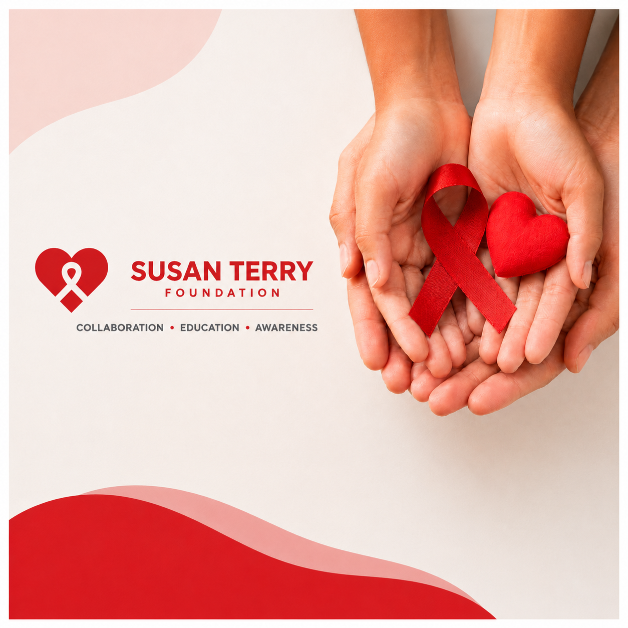 Susan Terry Foundation branded grant announcement image.